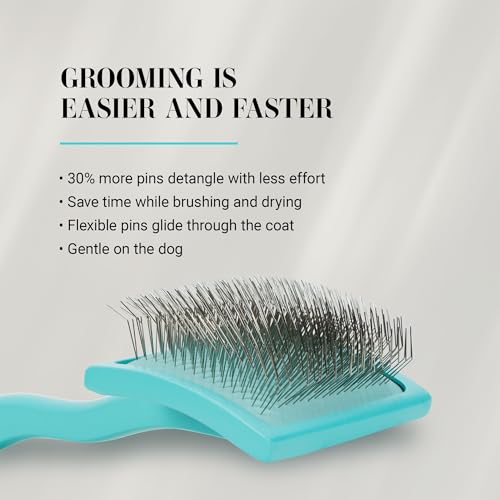 Big G Dog Slicker Brush for Dogs (Medium / Teal)
