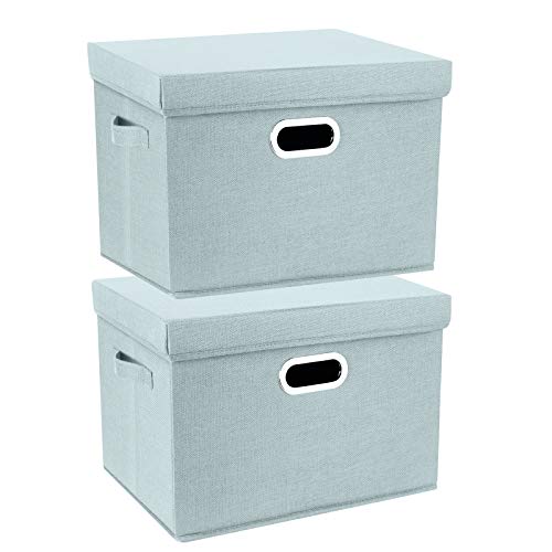 Collapsible Storage Bins With Lids (2-Pack Large / Auqa Spring)