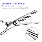Dog Grooming Kit (Blue / 5 Piece)