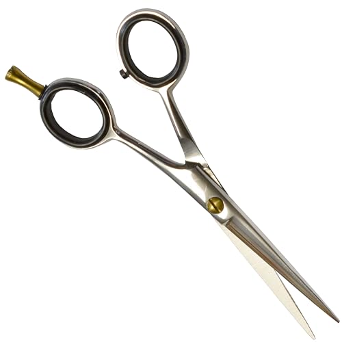 Professional Hair Cutting Scissors (Silver / RoundLoopRadiance Series)