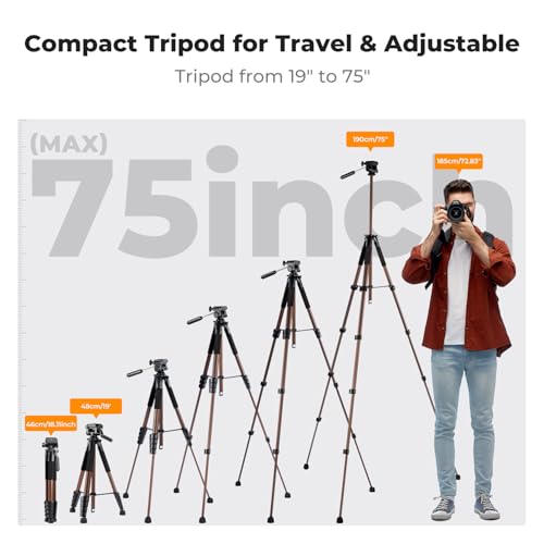 75" Aluminum Camera Tripod (Bronze Gold)