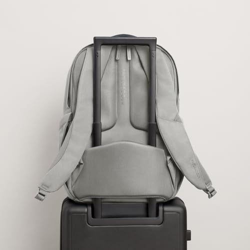 Apex 4.0 22L Premium Laptop Backpack (Scree / Apex 4.0)