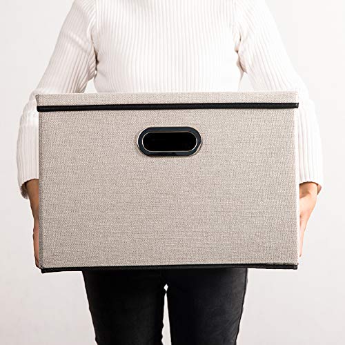 Large Foldable Storage Bins with Lids [3 (Light Grey / L(3-Pack))