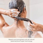 The Haircare Travel Duo (Haircare Travel Duo)