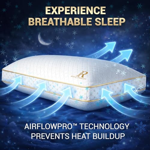 2 Pack King Memory Foam Pillow (King (Pack of 2))
