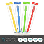 1000 Pack Disposable Toothbrushes with Toothpaste (1000 Pack)