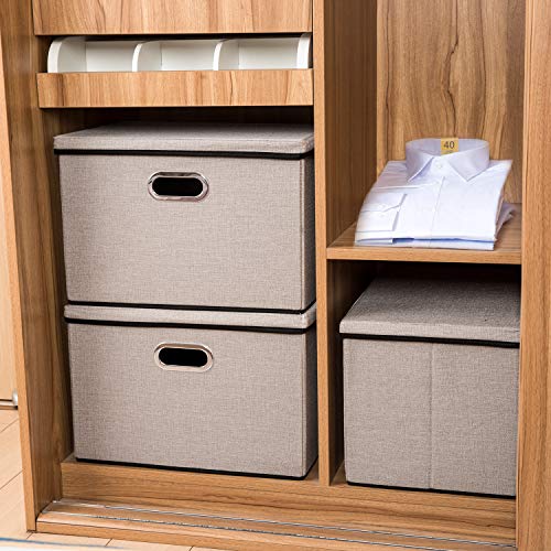 Large Foldable Storage Bins with Lids [3 (Light Grey / L(3-Pack))