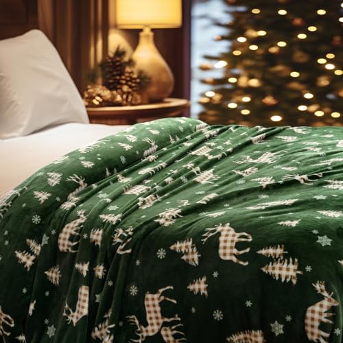 Christmas Fleece Blanket Queen (Northern Winter / Queen(90" X 90"))