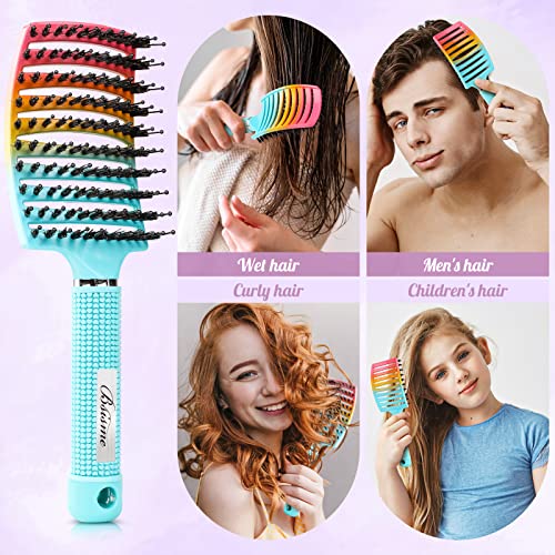 Boar Bristle Hair Brush (Green+Blue)