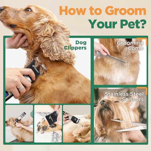 Professional 7000rpm Low Noise 55db Cordless Rechargeable Dog Clippers (Silver)