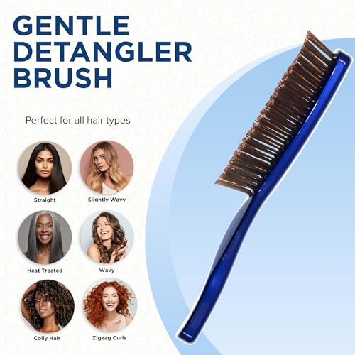 Hair Brush for Men and Women (Small / Blue)