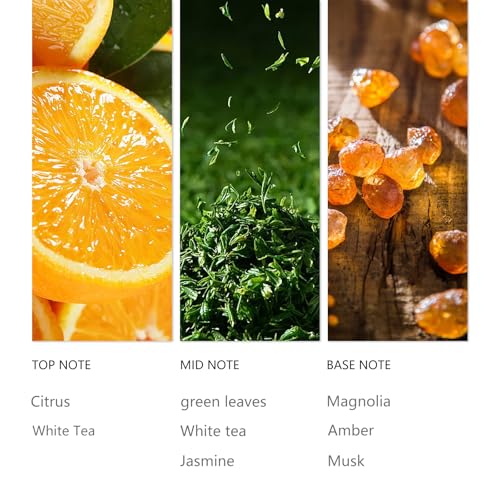 White Tea Waterless Essential Oil 120ML for Diffusers (4.1 Fl Oz (Pack of 1))
