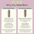 Balancing Shampoo & Nourishing Conditioner for Men & Women (Duo)