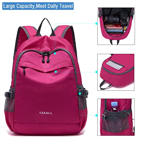 Hiking Backpack 20L Packable Packable Lightweight Day Pack for Women & Men (A-20l-arose)