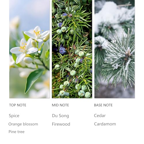 Hotel Waterless Diffuser Oil Winter Pine 120ML (4.1 Fl Oz (Pack of 1))