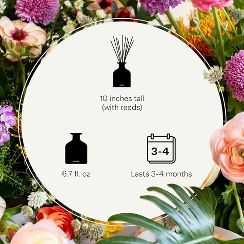 Scented Reed Diffuser for Home