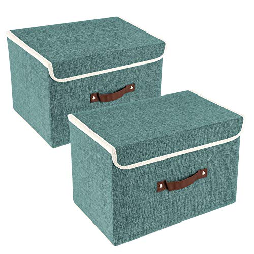 Collapsible Storage Boxes (2 pack / Aqua Deep)