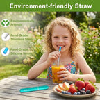 Reusable Collapsible Metal Straws (Black-Rose Gold-Turquoise)