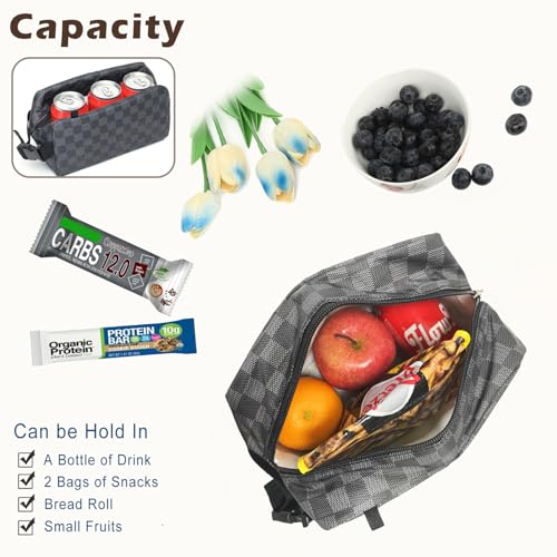Small Insulated Lunch box Portable Soft Bag Mini Cooler Thermal Meal Tote Kit with Buckle for Work (GreyWithBuckle)
