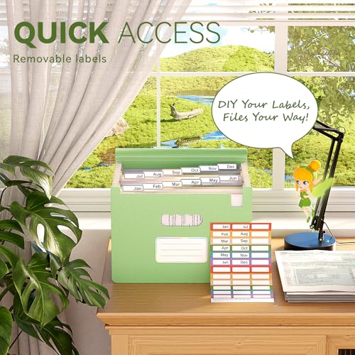 Accordion File Organizer (Grass Green)