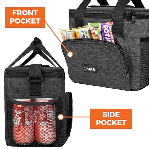 Soft Cooler Bag (Charcoal / 24 Cans)
