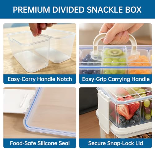 Snackle Box Container with 2 Ice Packs