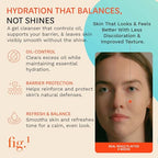 Clarifying Gel Cleanser (Gel Cleanser – Routine Clarity for Oily & Acne-Prone Skin / Starter Kit 3.4 Fl/Oz)