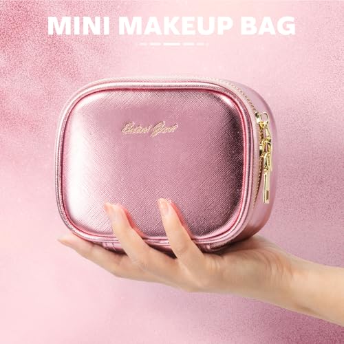 Mini Makeup Bag with Led Mirror (Roses)