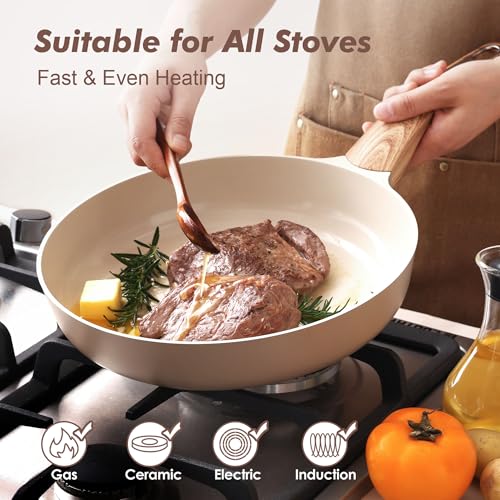 11inch Ceramic Nonstick Frying Pan Paella Pan (11 Inch / CERAMIC Taupe)
