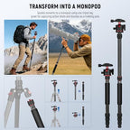 Basics Carbon Fiber Travel Tripod Monopod