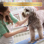 Dog Grooming Scissors Kit with Safety Round Tips (Golden 5 in 1)
