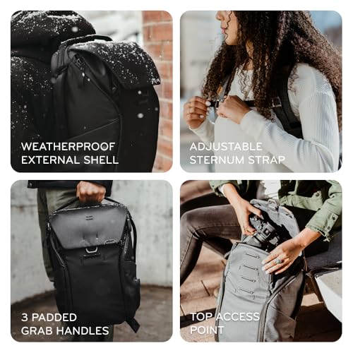 Everyday Backpack 20L (20L / Eclipse)