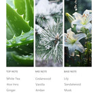 Waterless Diffuser Essential Oil Olene 120ml for Home Office (4.1 Fl Oz (Pack of 1))