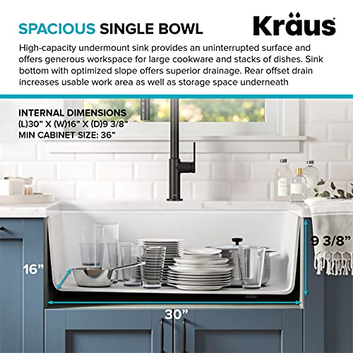 Bellucci Workstation 32 in. Undermount Granite Composite Single Bowl Kitchen Sink in White with Accessories with WasteGuard™ Continuous Feed Garbage Disposal (White / 32 Inch / Sink and Garbage Disposal 3/4 HP)