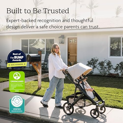 Vista V3 Convertible Single (Vista V3 Stroller / Jake (Charcoal))