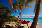 SingleNest Hammock (Marine Cedar)