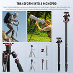 Basics 70.9" Camera Tripod Monopod w Center Column (TP16 w/Ball Head)