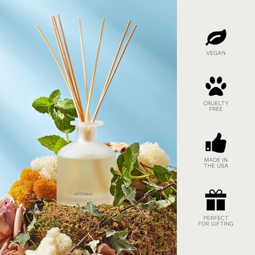 Scented Reed Diffuser for Home
