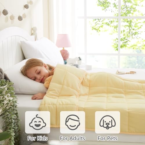 Weighted Blanket (09-beige / 36" x 48" | 3lbs)