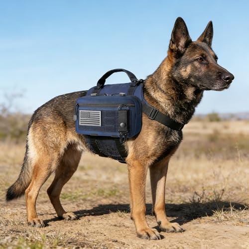 Tactical Molle Admin Pouch Utility Laser Cut EDC Tool Pouch Bag Horizontal Modular Pouches Include US Flag Patch and Keychain (Blue)