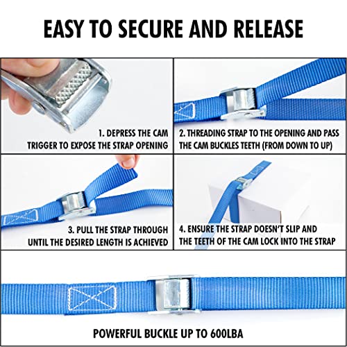 1" x 12 ft Lashing Straps (8 PK / Blue)