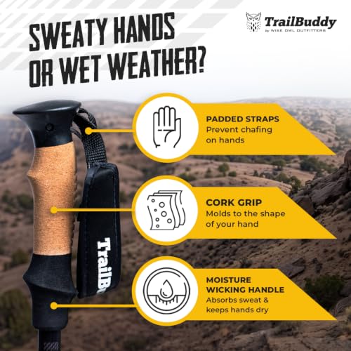 Compact Trekking Poles (Black Raven)