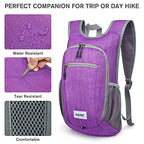 10L 15L Hiking Backpack Lightweight Packable Hiking Daypack Small Travel Outdoor Foldable Shoulder Bag (Purple / 10L)