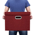Collapsible Storage Bins With Lids (2-Pack Large / Red Wine)