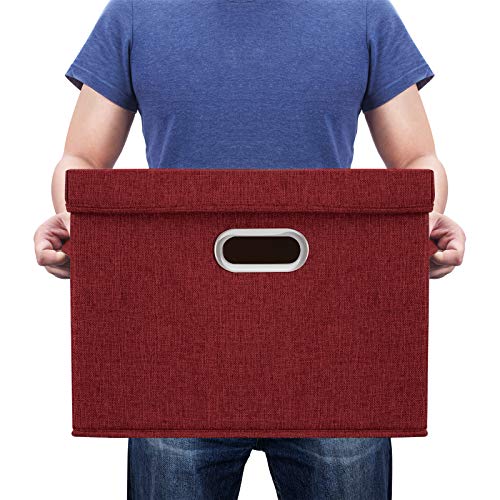 Collapsible Storage Bins With Lids (2-Pack Large / Red Wine)