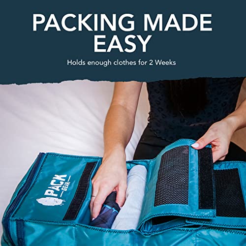 Hanging Luggage Organizer (Small (Carry-On) / Mesh Green)