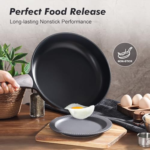 11inch Nonstick Frying Pan Paella Pan with Lid (11 Inch / NIGHT Black)
