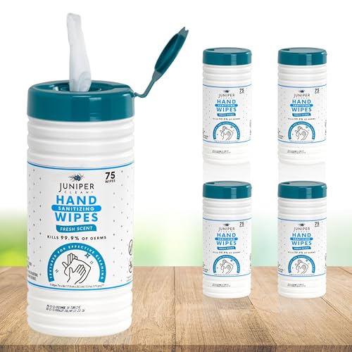 4 Pack Hand Sanitizing Wipes (75 Count (Pack of 4))