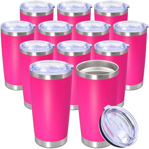 20oz Tumbler Stainless Steel Tumbler Coffee Tumbler with Lid Hot Pink (Hot Pink)