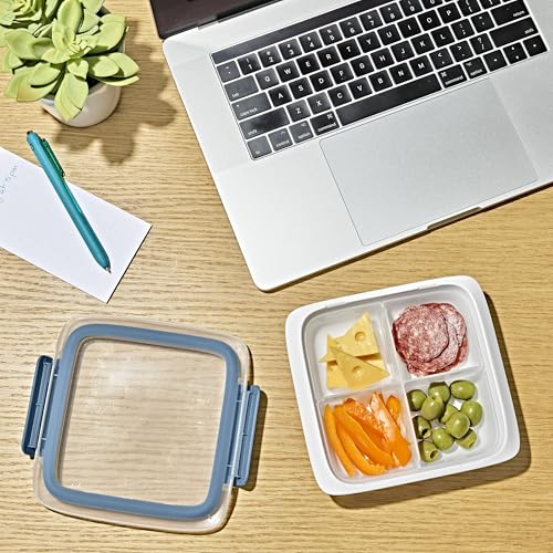 Good Grips Prep & Go Slim Container with Removable Divider (Slim with Removable Divider / Ocean Blue)